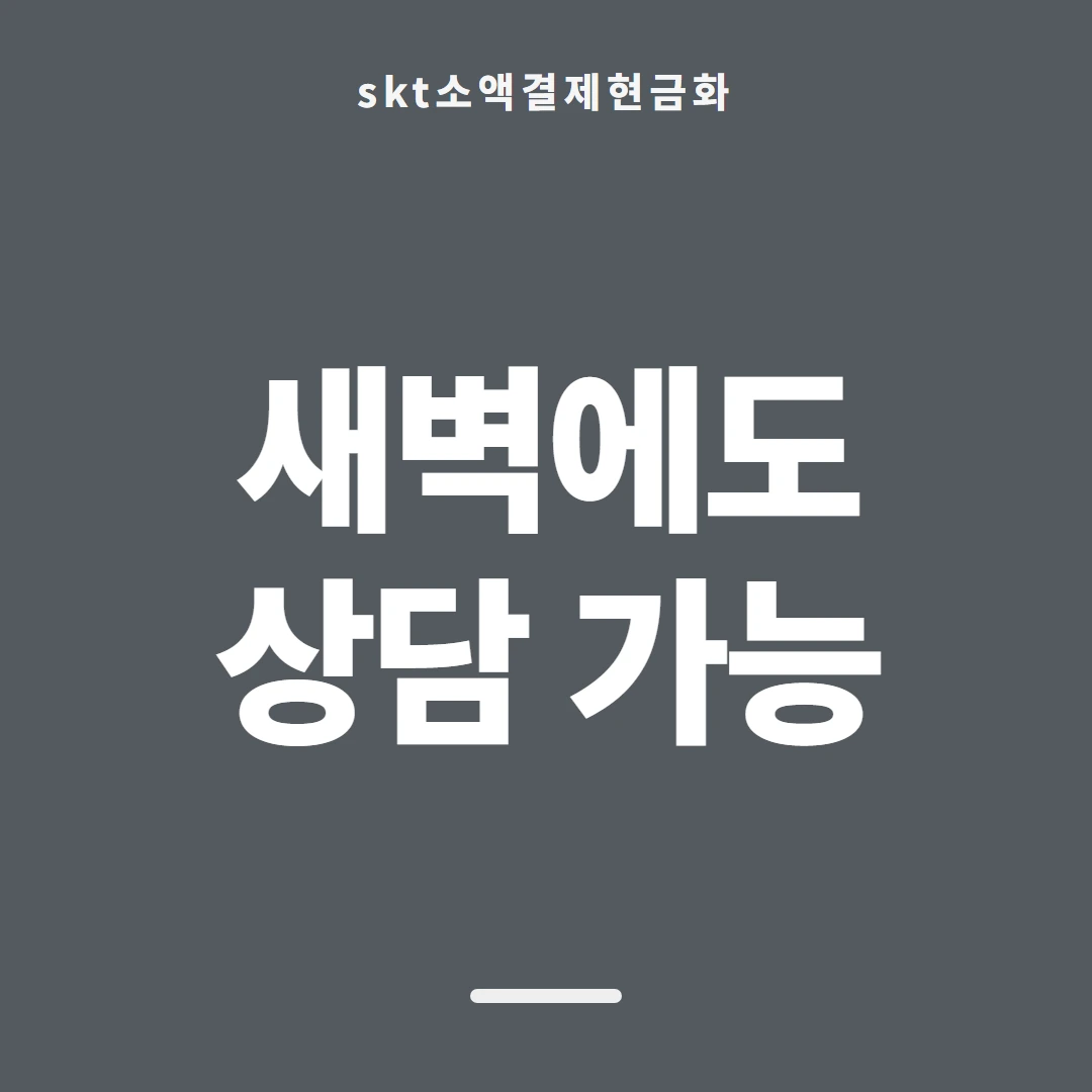 품티켓 SKT 소액결제 현금화 구조 훑어보기 안내 이미지