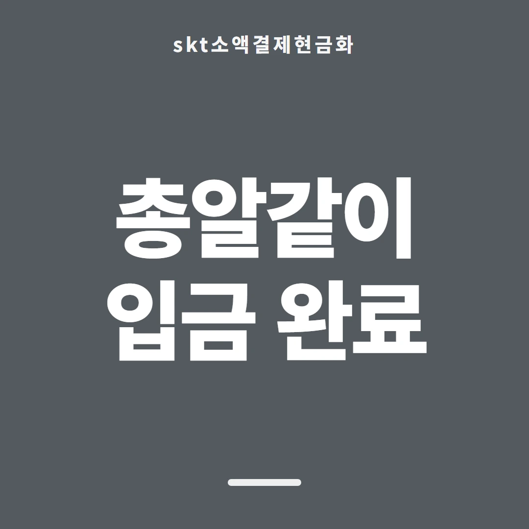 품티켓 SKT 소액결제 현금화 값이 매겨지는 기준 안내 이미지
