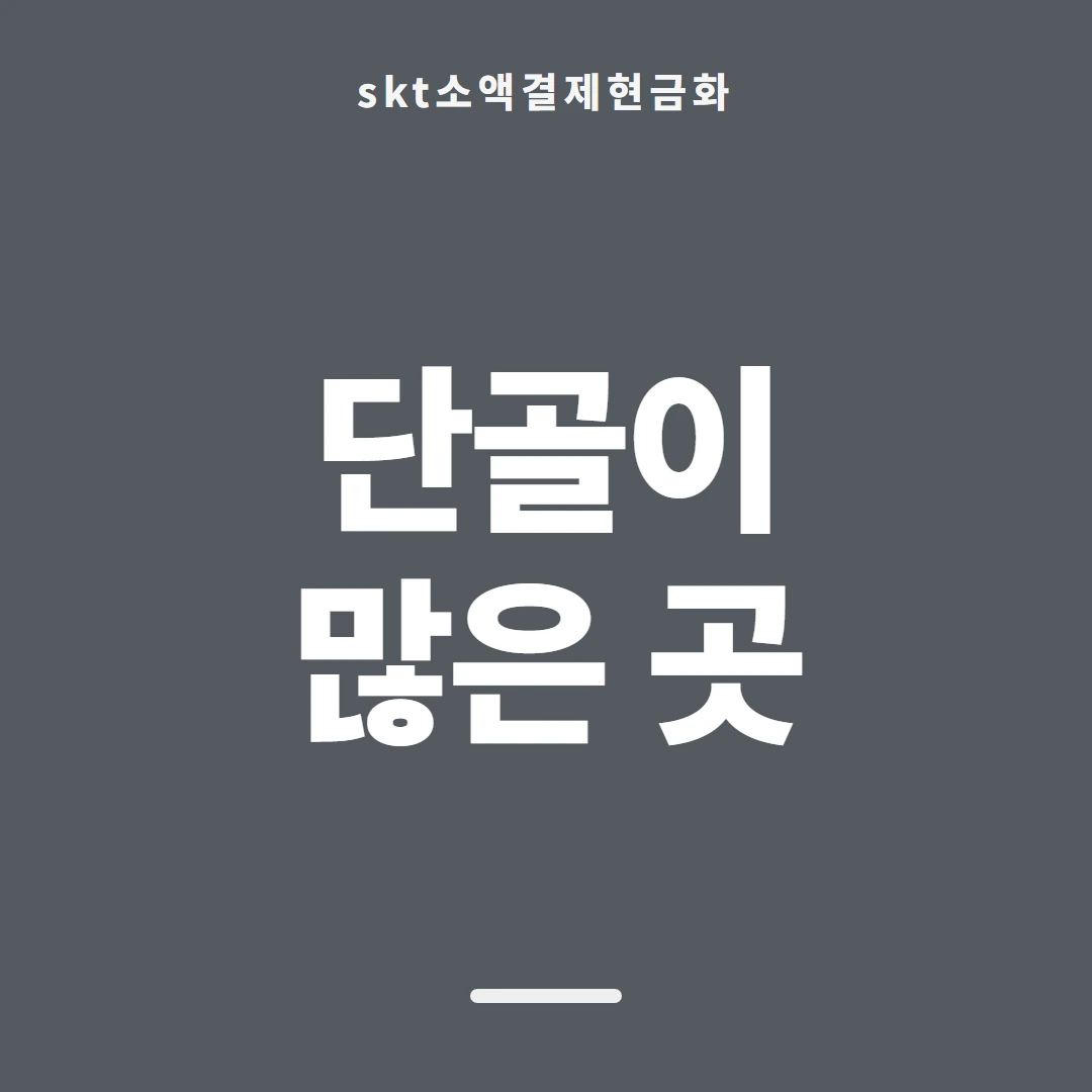 품티켓 SKT 소액결제 현금화 진행 차례 안내 이미지